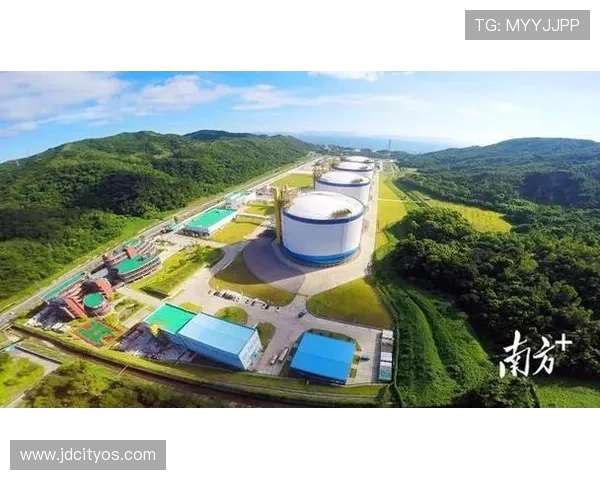 专业解析LNG战队中路突破策略与战术运用全景分析