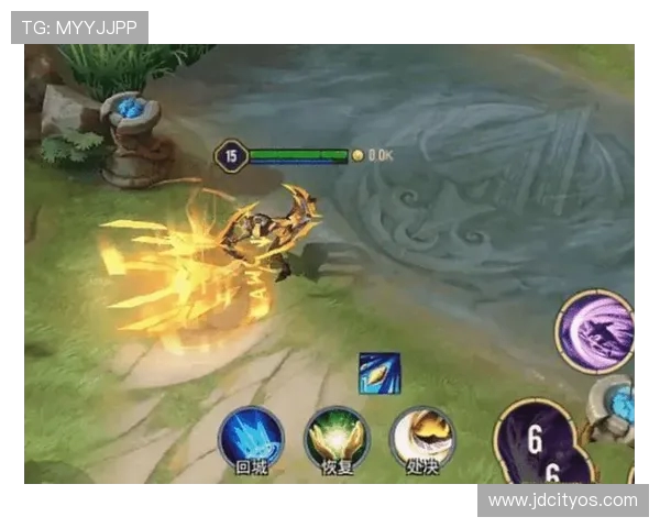 深入解析FPX在王者荣耀中的阵地战战术体系与策略运用